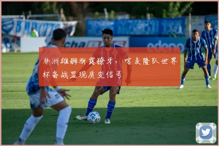 非洲雄狮渐露獠牙,喀麦隆队世界杯备战显现质变信号