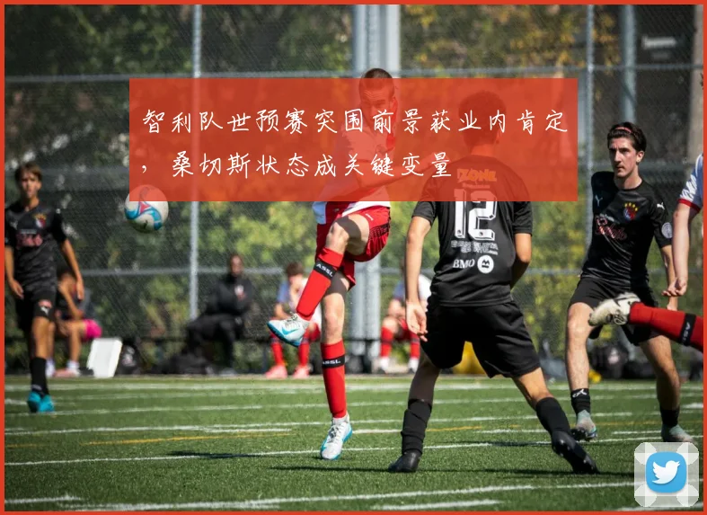 智利队世预赛突围前景获业内肯定，桑切斯状态成关键变量