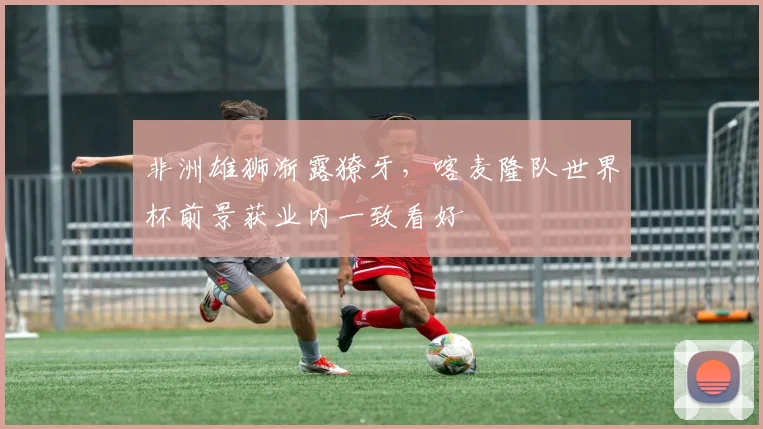 非洲雄狮渐露獠牙，喀麦隆队世界杯前景获业内一致看好